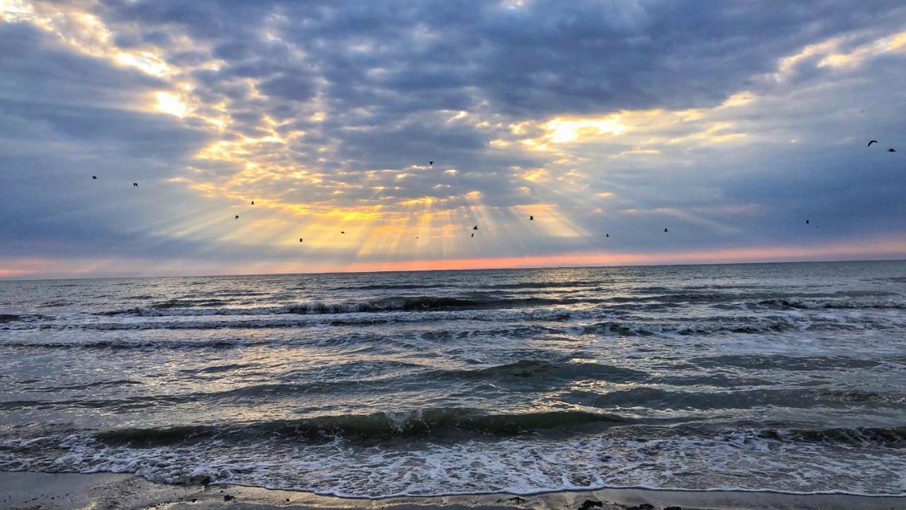 Lucky Star Studio Mamaia Nord Năvodari Kültér fotó